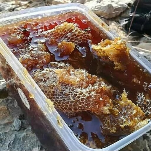 عسل وحشی و طبیعی صخره ایی سیاه ساوالان سرعین ((عسل و سوغاتی حاج عبدالله بذری))