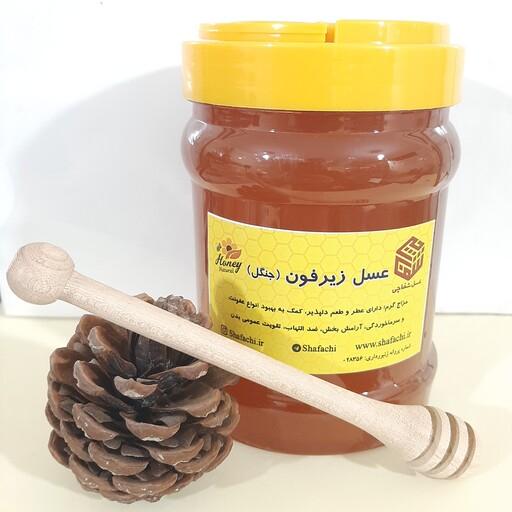 عسل جنگل (زیرفون) ممتاز   1000  گرمی (جنگل گلستان-تولید  1401)