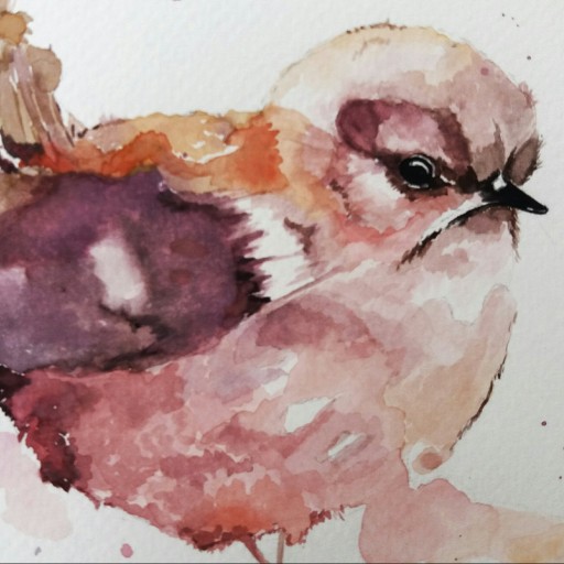تابلو نقاشی آبرنگ «پرنده کوچک» مه ‌نگار