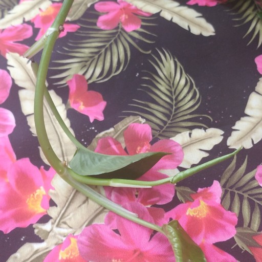 پارچه ساتن گلدار با زمینه مشکی مناسب برای خرج کار لباس متری 27 هزار