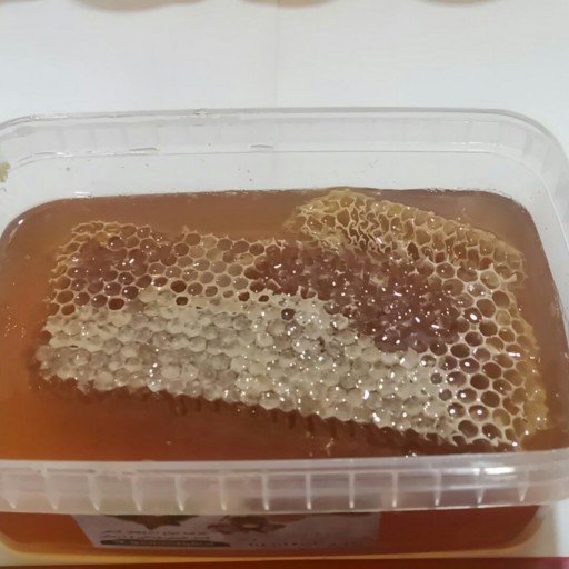 عسل درمانی ( نیم کیلویی) کدd1