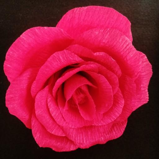 گل رز با کاغذ کشی در انواع رنگ ها