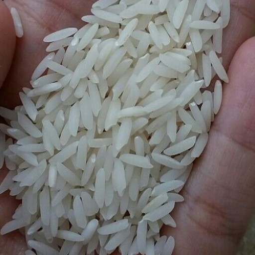 برنج هاشمی اعلاء گیلان 5 کیلو