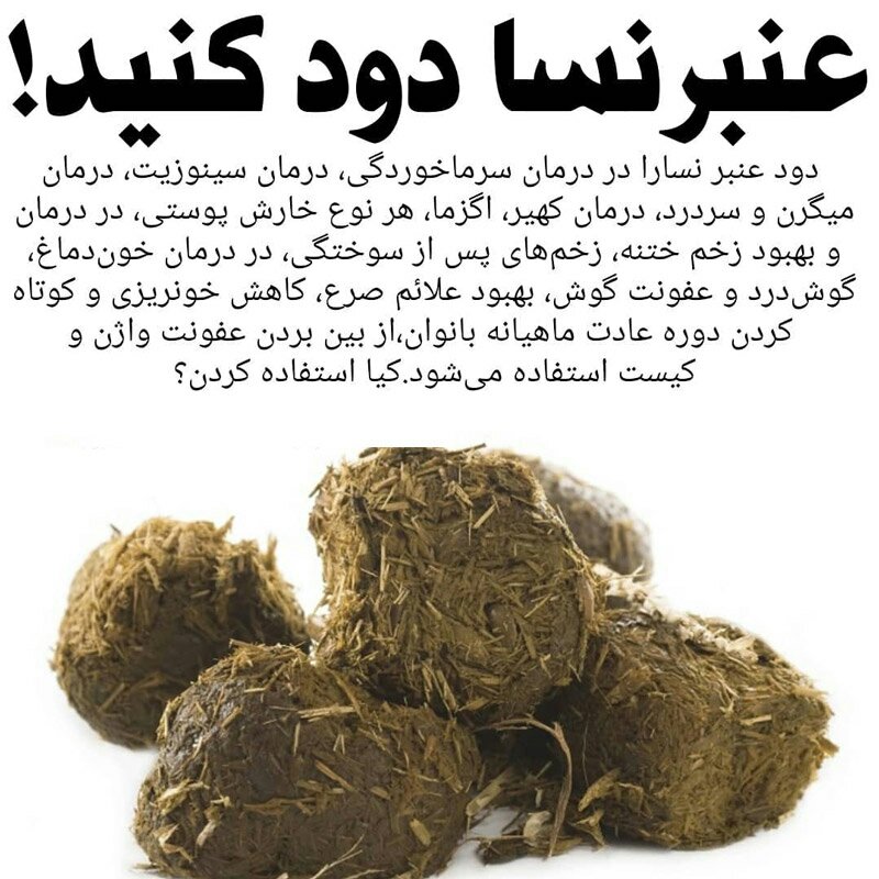 عنبر نسارا (پشگل الاغ)