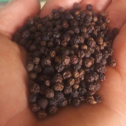 پودر فلفل سیاه اعلاء 800 گرمی، محصولی ناب از شرکت گُلآواره 