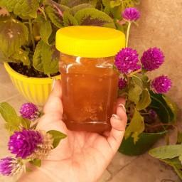 عسل چهل گیاه و چند گیاه با موم و بدون موم نیم کیلویی و کاملا طبیعی و سالم