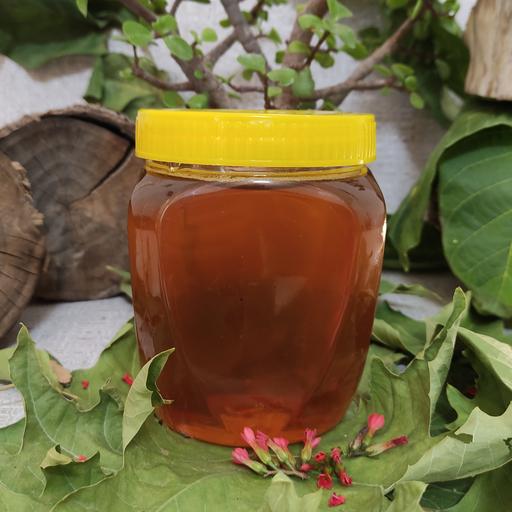 عسل کُنار شاهپسند 900 گرمی ( تقویت سیستم ایمنی بدن_تسهیل عادت ماهانه )