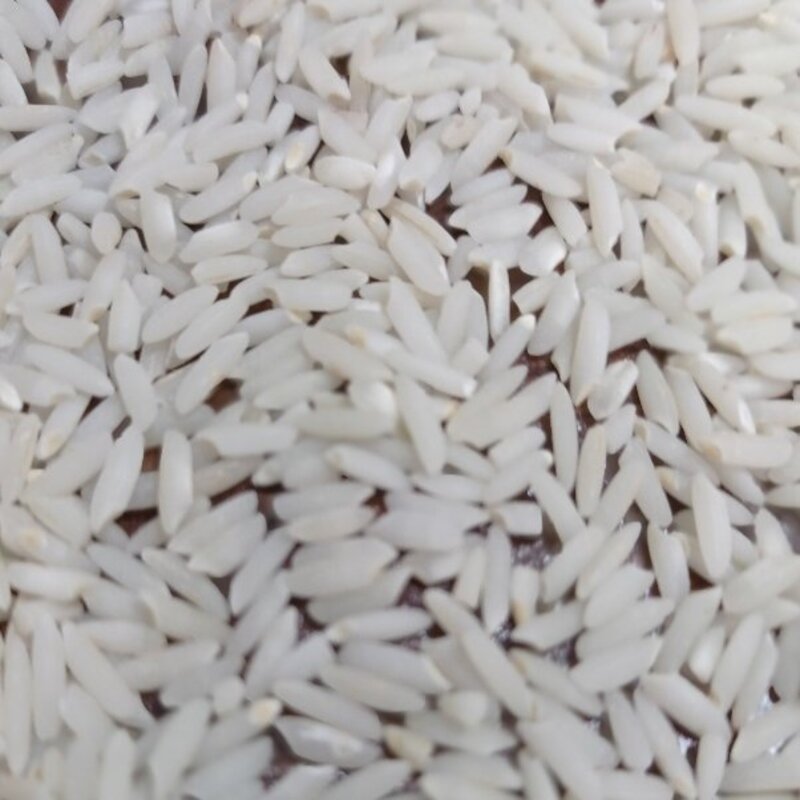 برنج طارم گیلان 10 کیلو 