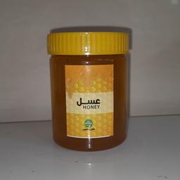 عسل طبیعی (500گرمی تغذیه شده)