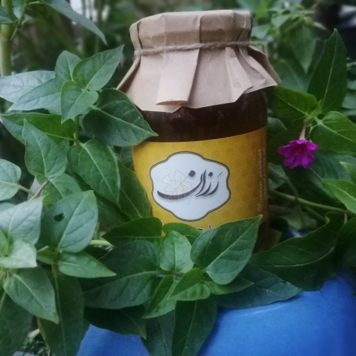 عسل چهل گیاه کویر 900گرمی
