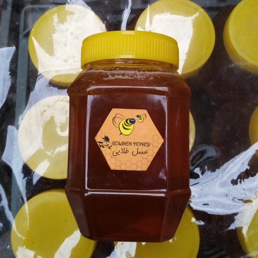 عسل طلایی کاملاً طبیعی بدون شکر (1 کیلویی)