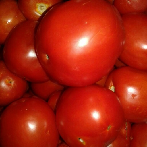 رب گوجه