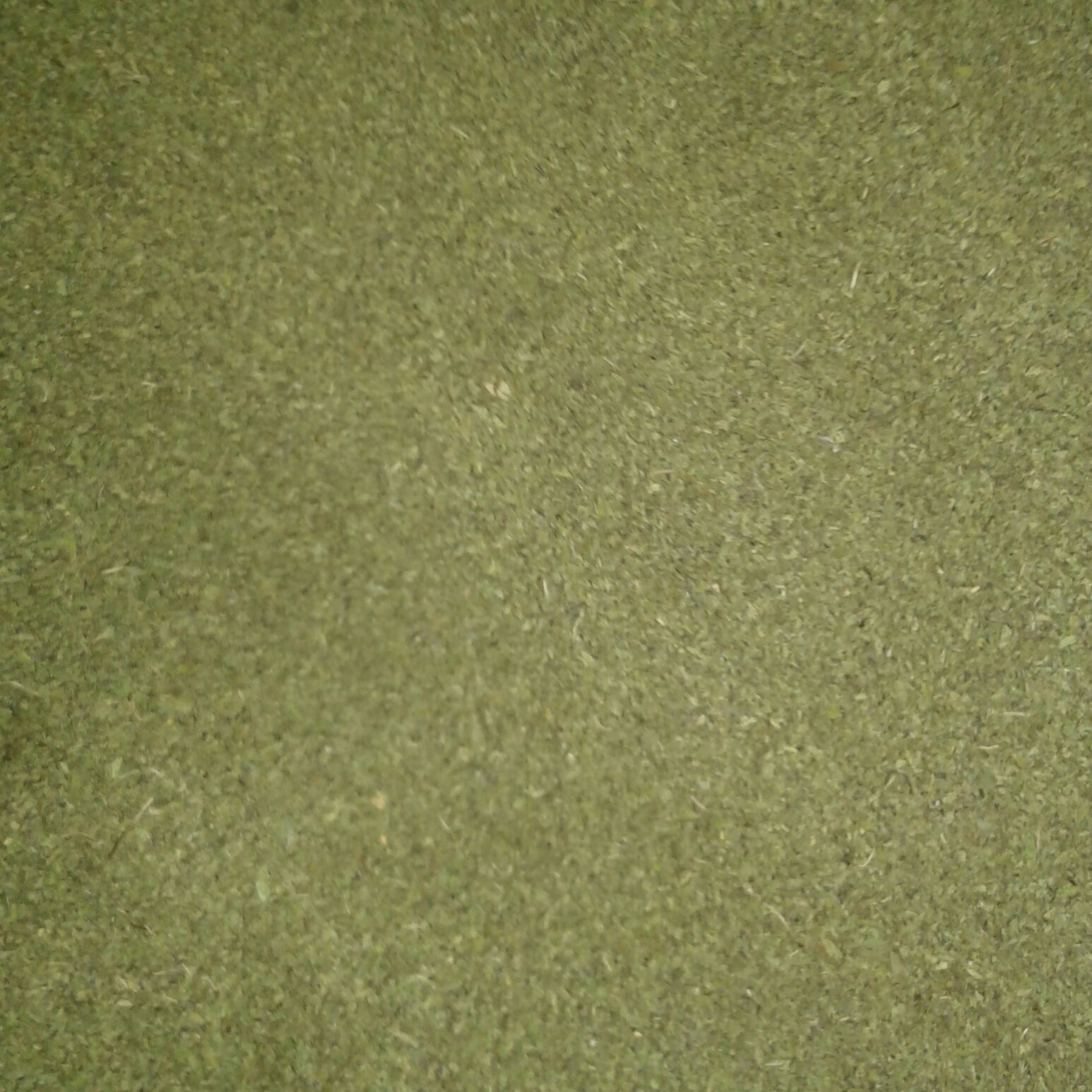 توضیحات تصویر
