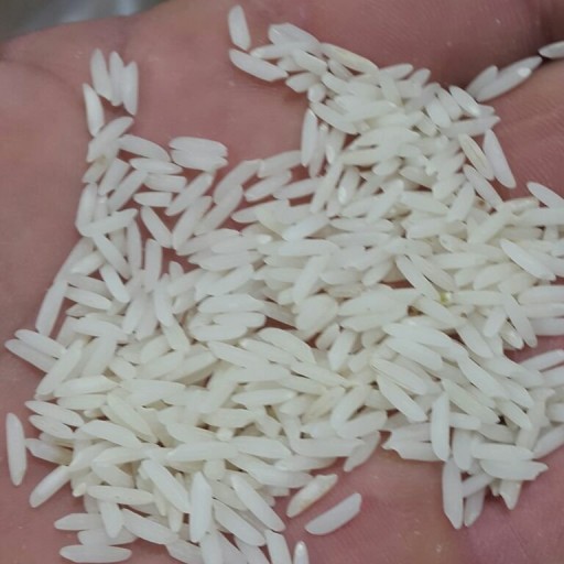 برنج هاشمی ارگانیک گیلان 20 کیلویی