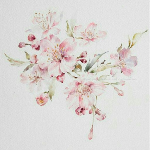 نقاشی آبرنگ شکوفه