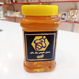 عسل گون درجه یک خالص یک کیلویی خوش طعم تضمینی