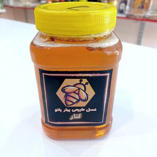 عسل کنار درجه یک خوش عطر یک کیلویی ساکارز زیر 5 درصد