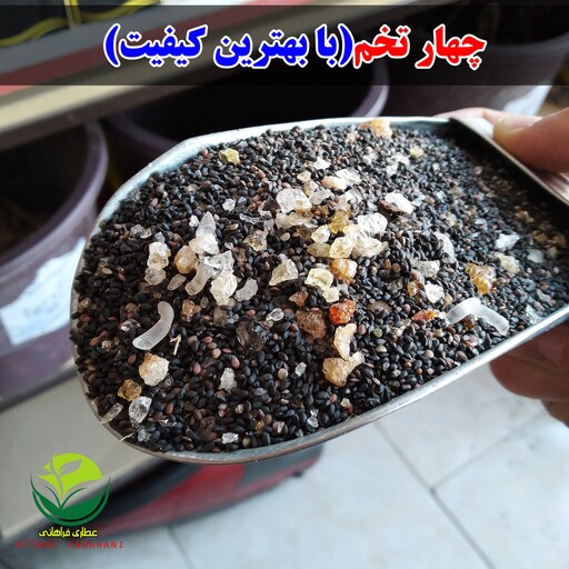 چهار تخم(با بهترین کیفیت)(فروش بصورت عمده-خرده)