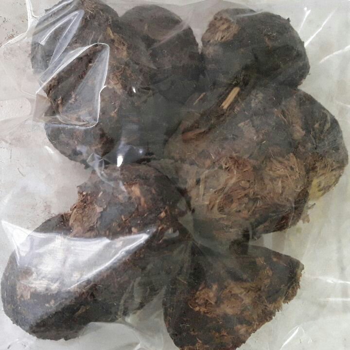 عنبر نسارا