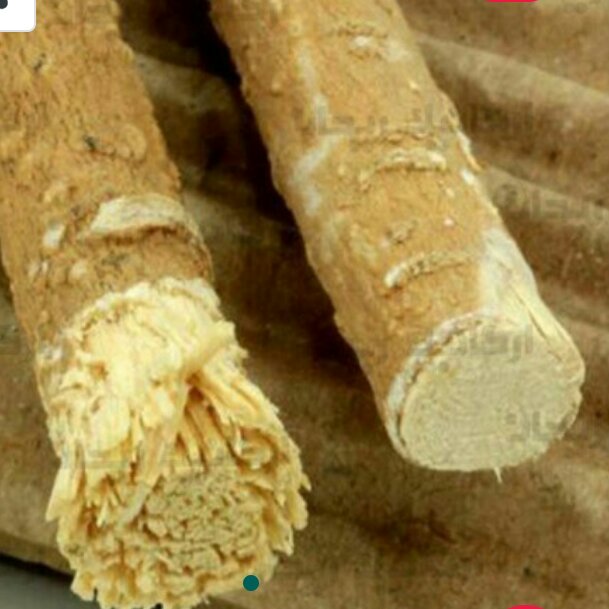 100 عدد مسواک سواک چوبی