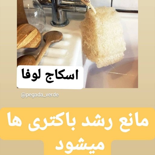 اسکاج  گیاهی لوفا 🌿