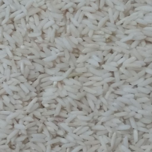 برنج هاشمی بندرکیاشهر(گیلان )
