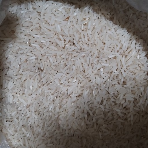 برنج شمال از نوع فجر 10 کیلویی یک الکه بارفروش