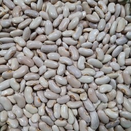 لوبیا کشاورزی 900 گرمی بارفروش