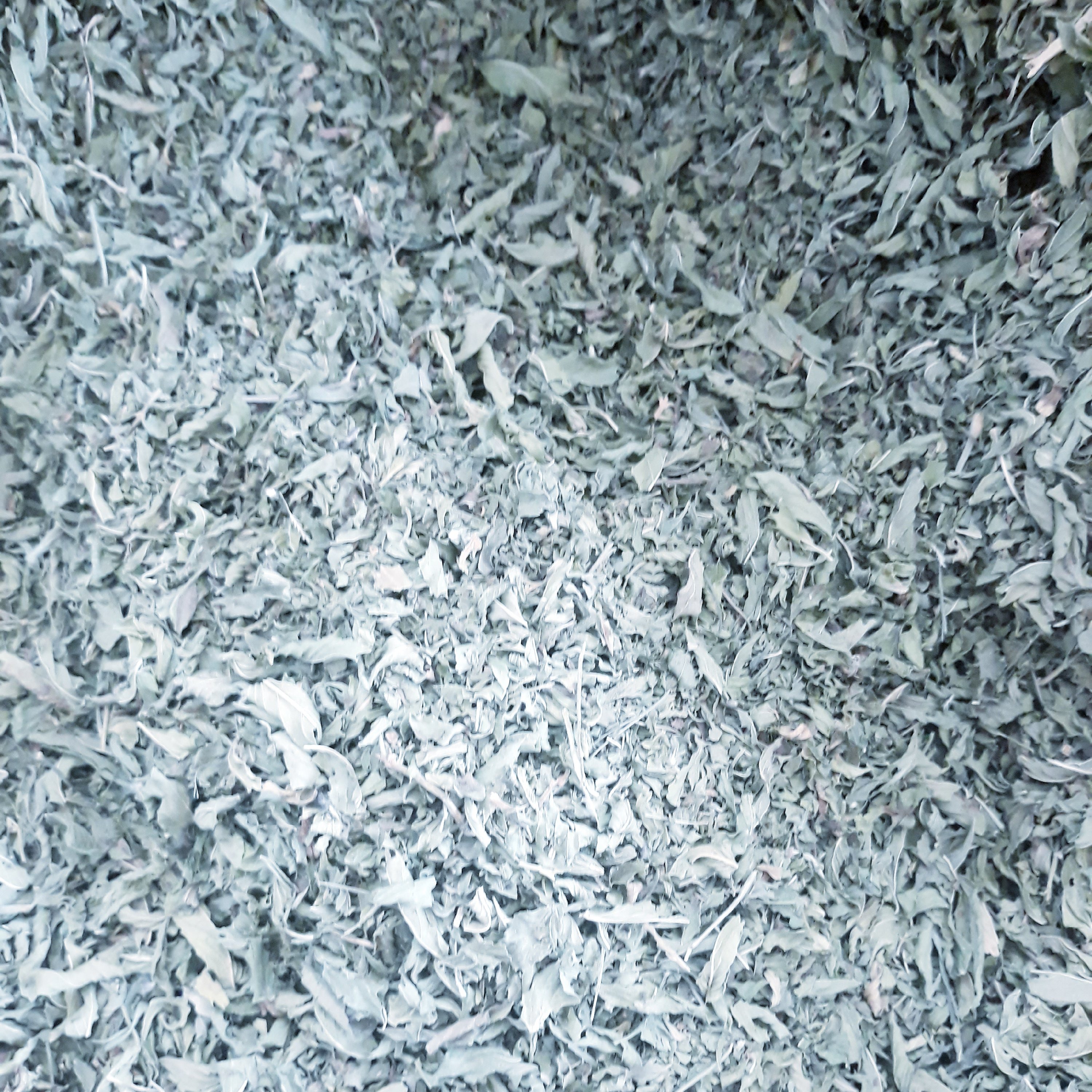 نعنا خشک درجه یک 50گرمی