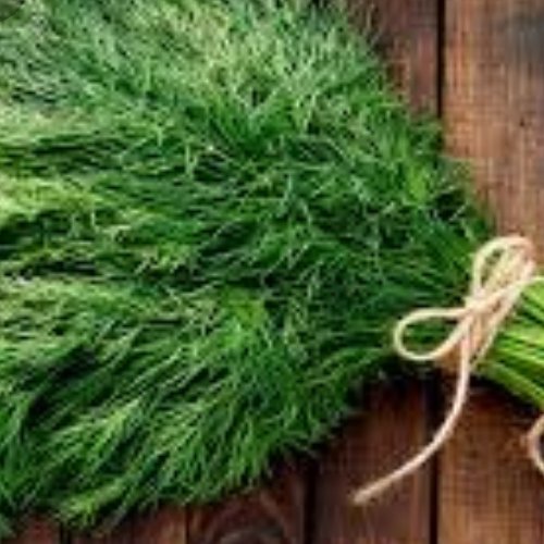 شوید خشک درجه یک 80گرمی