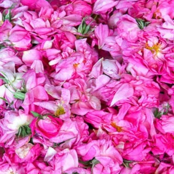 گلاب درجه یک قدح 1لیتری