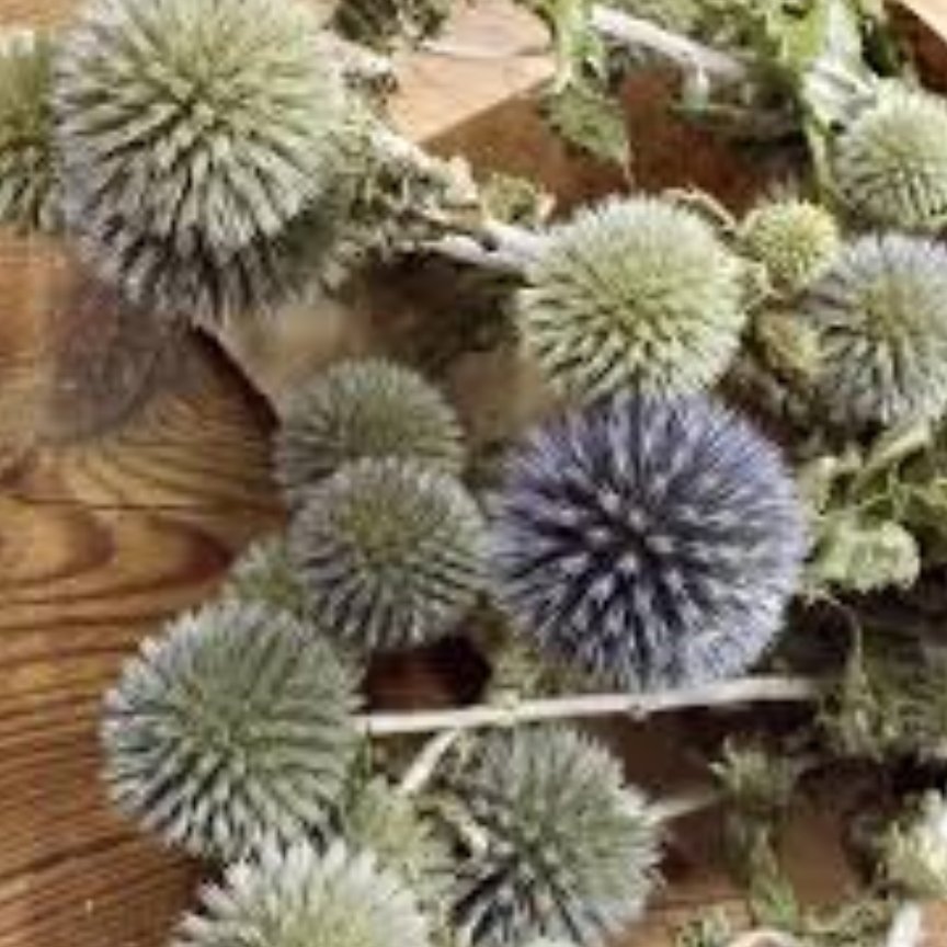 شکرتیغال درجه یک 35گرمی