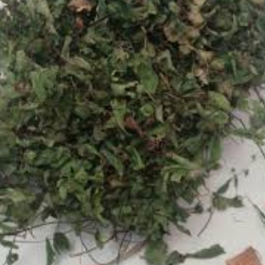 پرسیاوشان خشک 25 گرمی