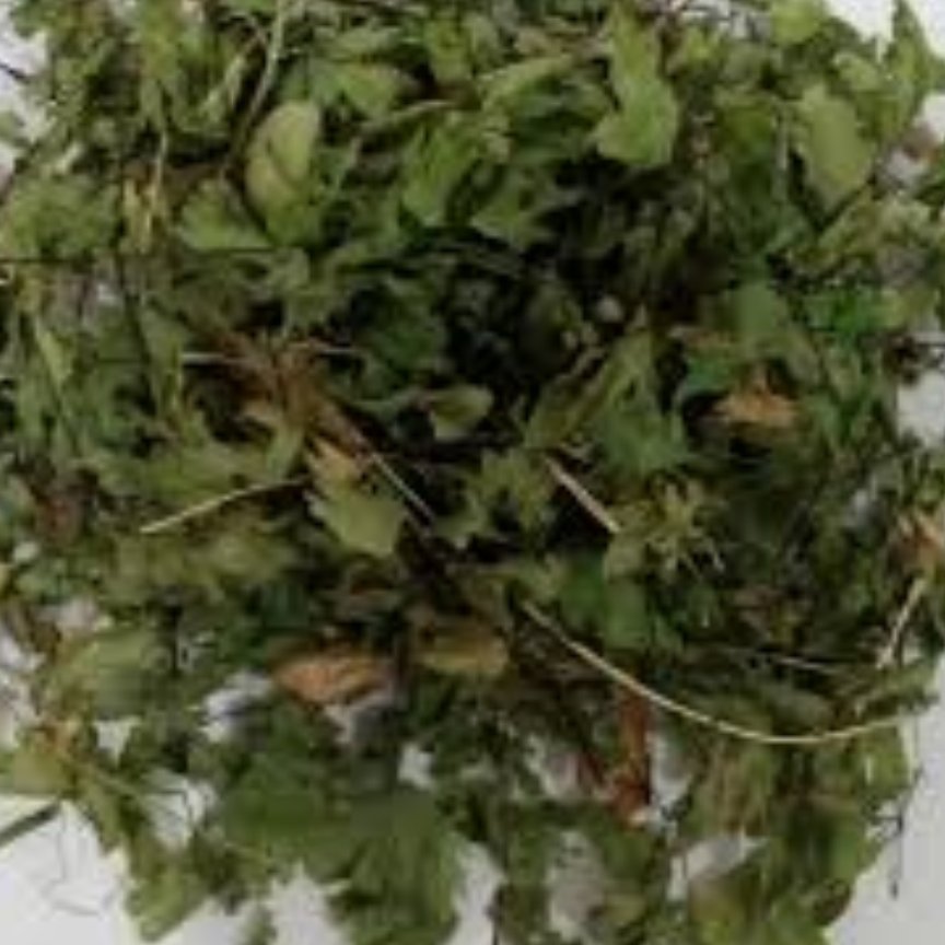 پرسیاوشان خشک 25 گرمی