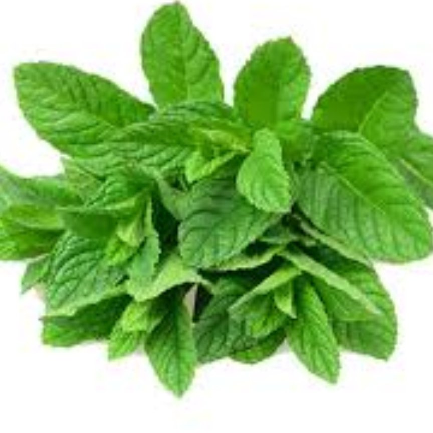 نعنا خشک درجه یک 50گرمی