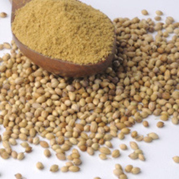 پودر تخم گیشنیز 100گرمی