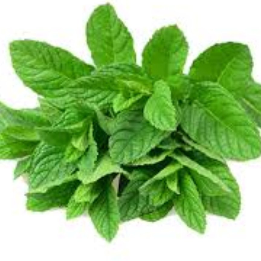 نعنا خشک درجه یک 50گرمی