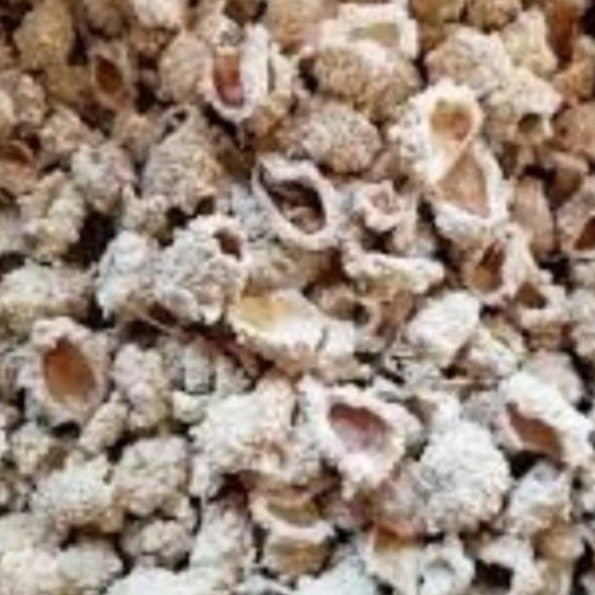 شکرتیغال درجه یک 35گرمی