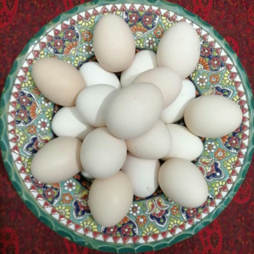 تخم مرغ رسمی ( 6 عددی ) فقط در قم