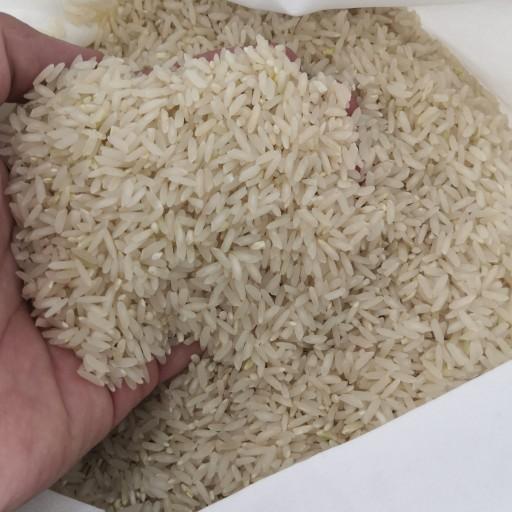 طارم امرالهی (کشت دوم)

از معطر ترین و خوشپخت ترین برنج ایرانی