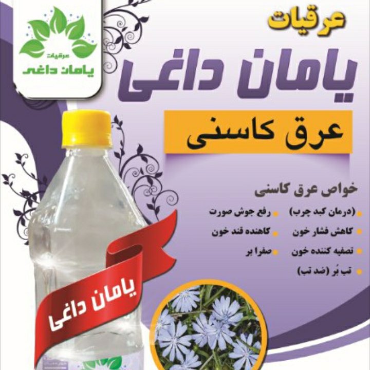 عرق کاسنی
