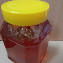 عسل طبیعی کوهی بسیار خوش طعم و بو با یک تکه عسل موم،عالی خوش طمع 1 کیلو (شهر عسل خوی)