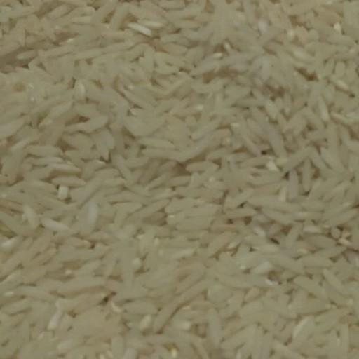 برنج طارم شمال