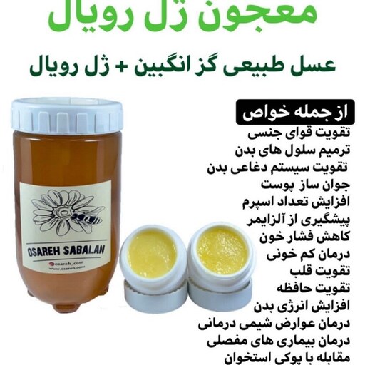 معجون ژل رویال ( 700 گرم عسل حاوی 20 گرم ژل رویال) ارسال رایگان