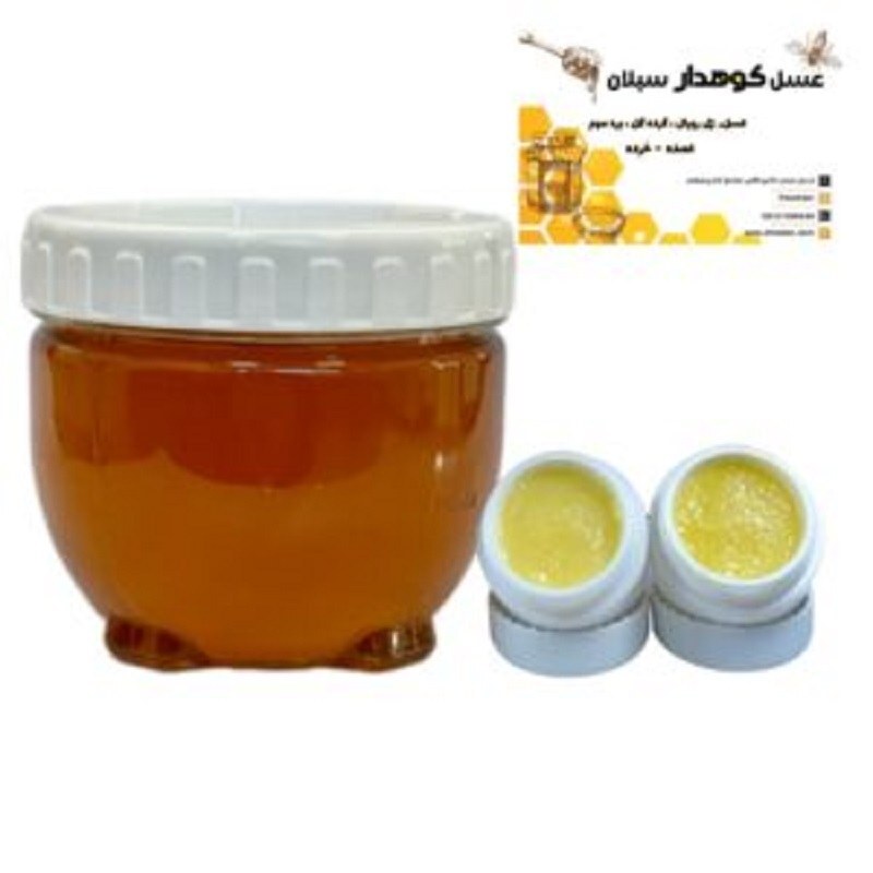 معجون ژل رویال ( 500 گرم عسل حاوی 15 گرم ژل رویال) ارسال رایگان