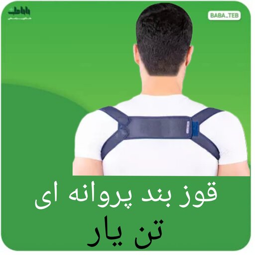 قوز بند پروانه ای تن یار 