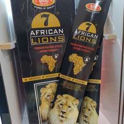 عود آفریقایی هفت شیر  lion 