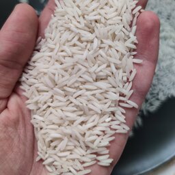 برنج ایرانی شیرودی خوشپخت| 5 کیلویی| محصول مازندران