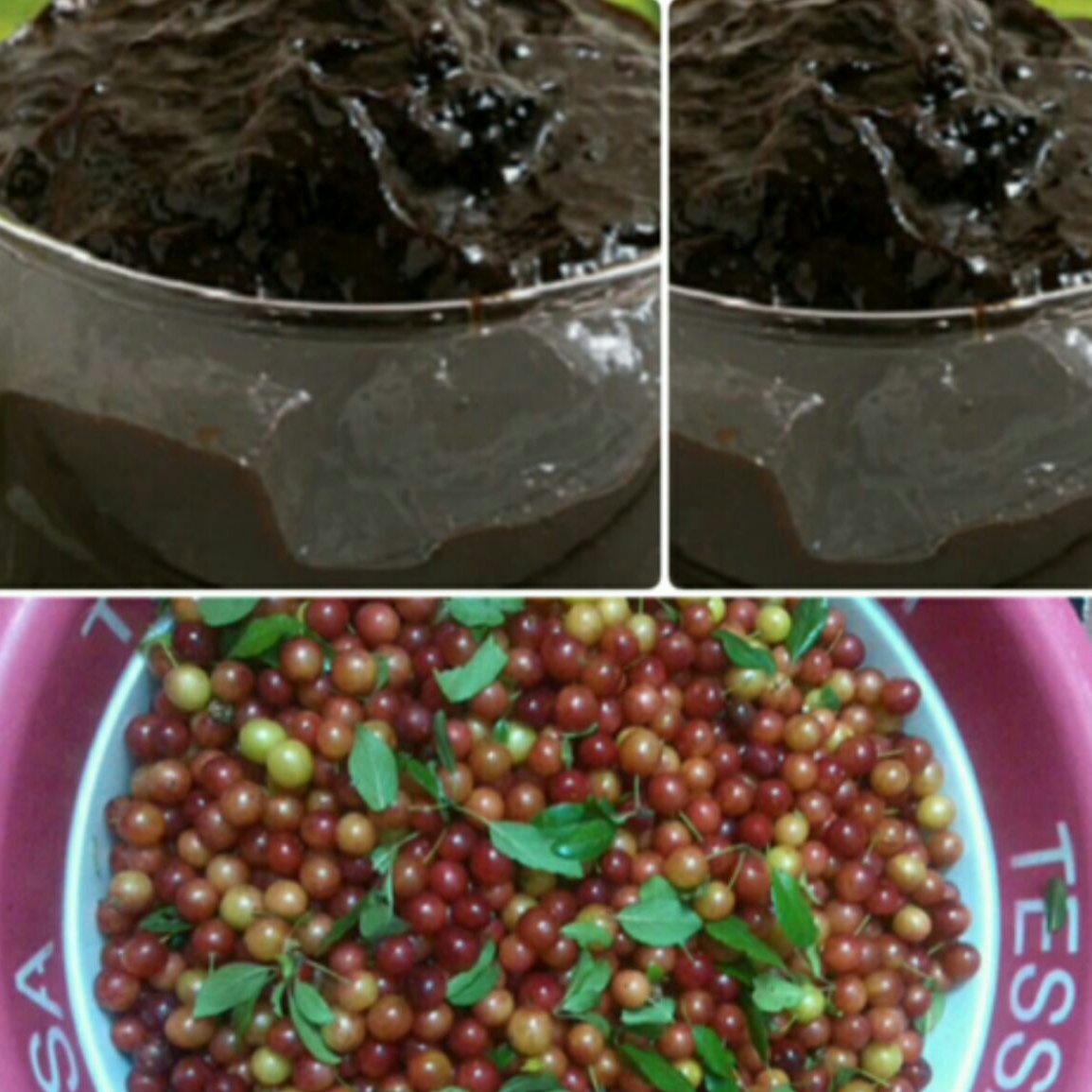 رب الوچه