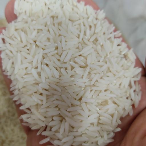برنج طارم هاشمی شلتوک (10 کیلوگرمی)